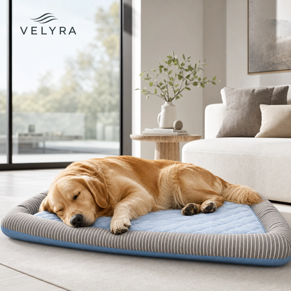 Velyra Cooling Mat Premium Summer Comfort For Dogs